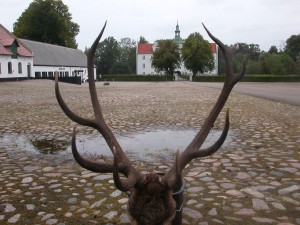 Sten´s medaljehjort- fra Meilgaard . Tillykke - Knæk & Bræk